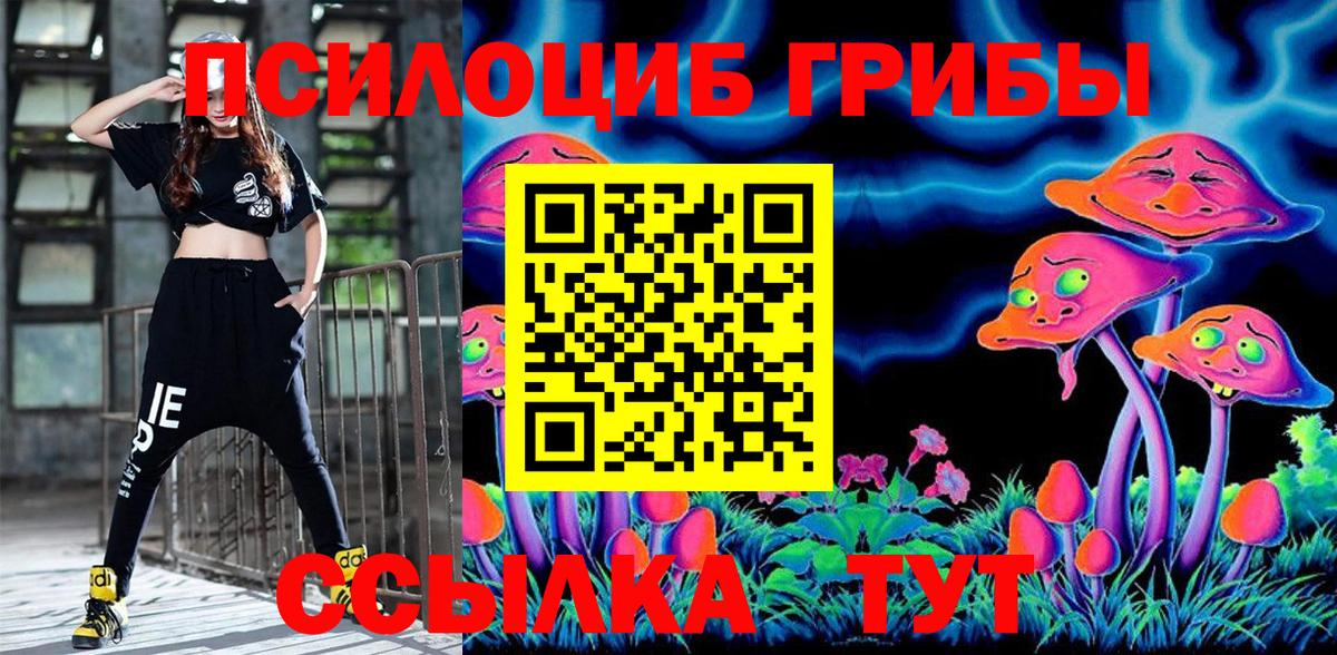 Кызыл  Галлюциногенные грибы Cubensis  Вход с VPN 