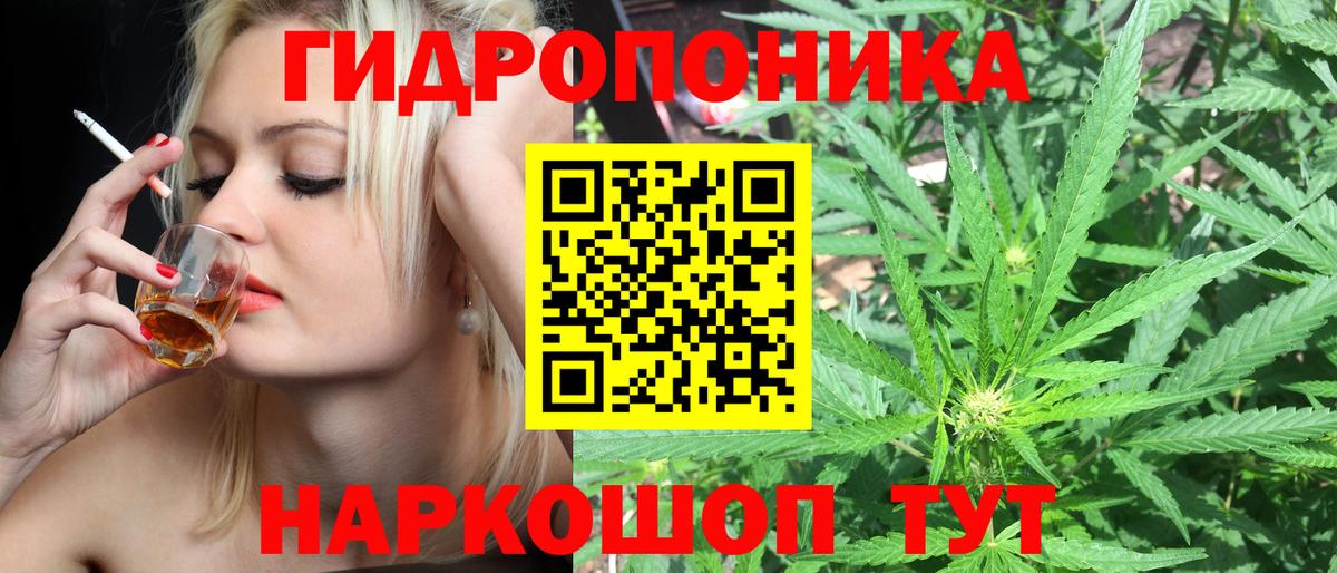 Бошки марихуана гибрид Кызыл
